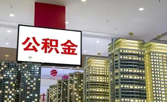 上海领导一旦放弃，你就不会珍惜吗？反思城市依赖与主动珍惜之道